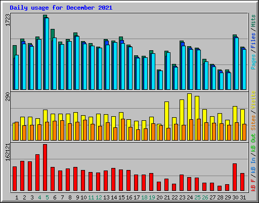 Daily usage for December 2021