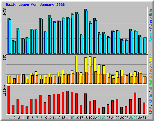 Daily usage for January 2023