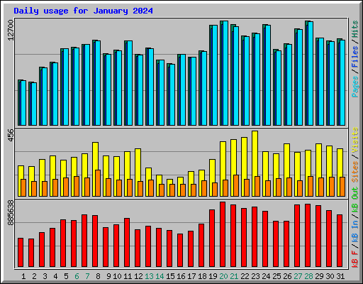 Daily usage for January 2024