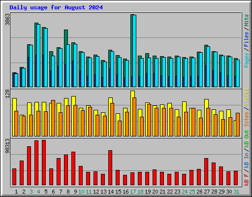 Daily usage for August 2024