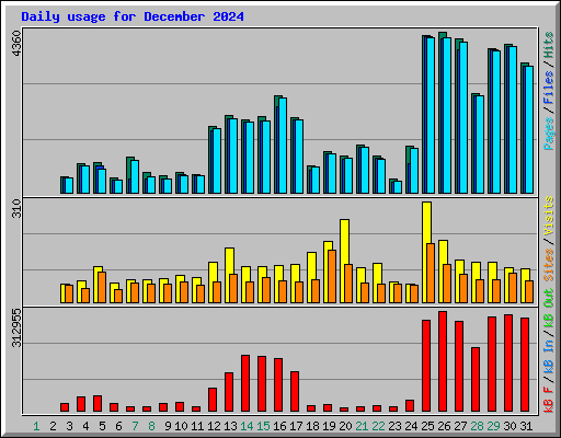 Daily usage for December 2024
