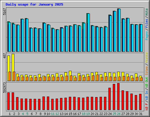 Daily usage for January 2025