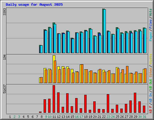 Daily usage for August 2025