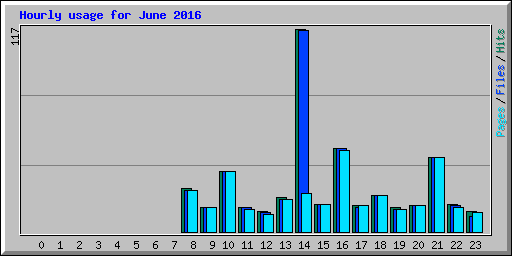 Hourly usage for June 2016