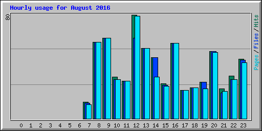 Hourly usage for August 2016