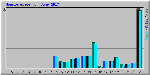 Hourly usage for June 2017