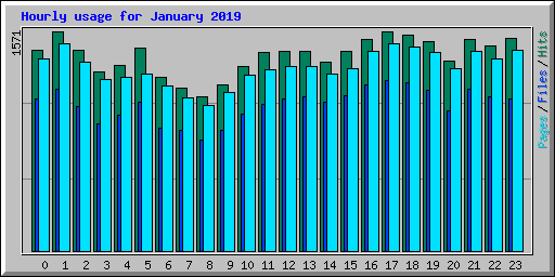 Hourly usage for January 2019