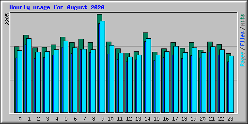 Hourly usage for August 2020