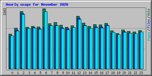 Hourly usage for November 2020