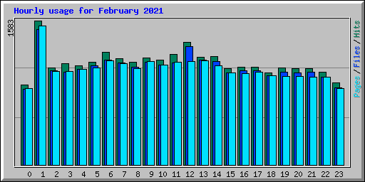 Hourly usage for February 2021