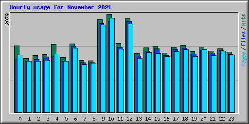 Hourly usage for November 2021