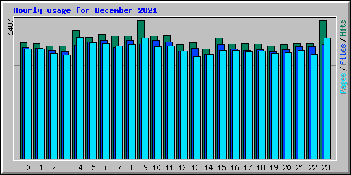 Hourly usage for December 2021