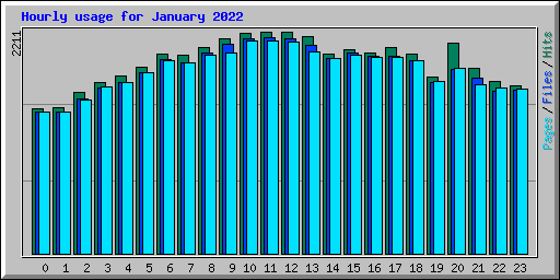 Hourly usage for January 2022