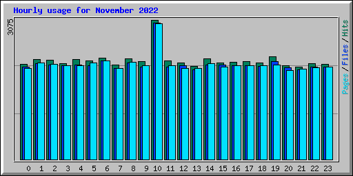 Hourly usage for November 2022