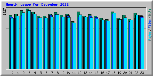 Hourly usage for December 2022