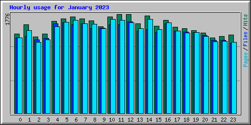 Hourly usage for January 2023
