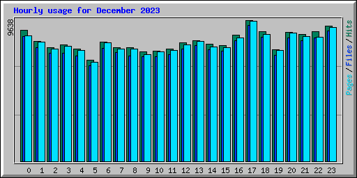 Hourly usage for December 2023