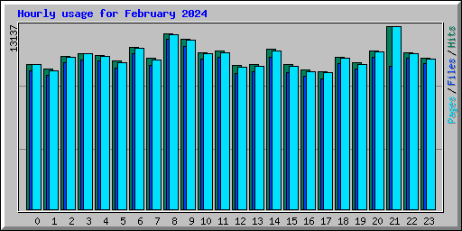 Hourly usage for February 2024