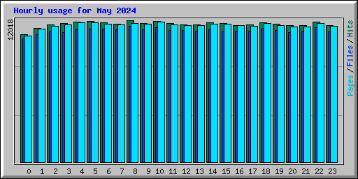 Hourly usage for May 2024