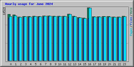 Hourly usage for June 2024