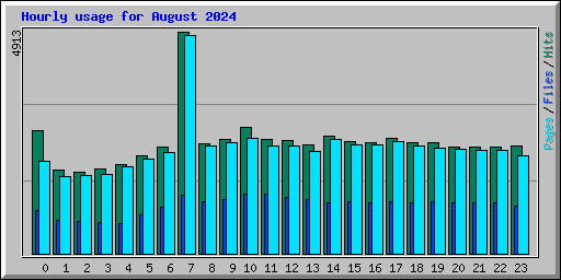 Hourly usage for August 2024