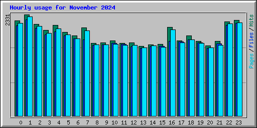 Hourly usage for November 2024