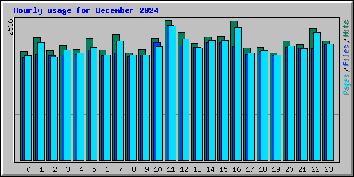 Hourly usage for December 2024