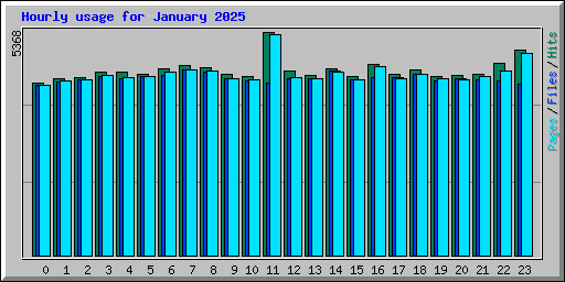 Hourly usage for January 2025
