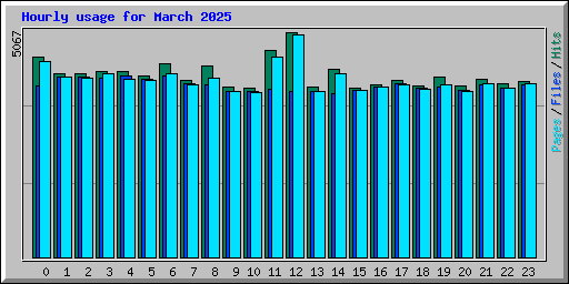 Hourly usage for March 2025