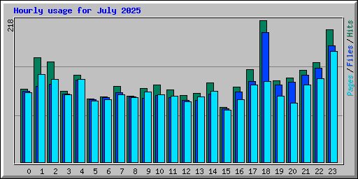 Hourly usage for July 2025