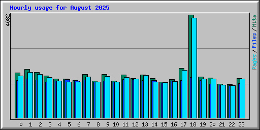 Hourly usage for August 2025
