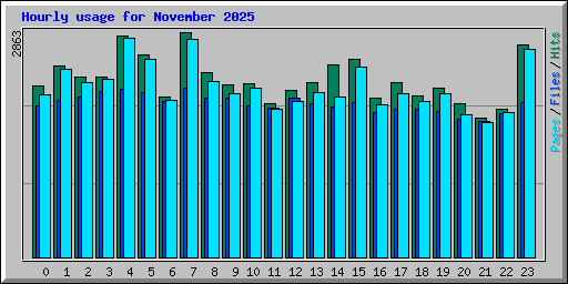Hourly usage for November 2025