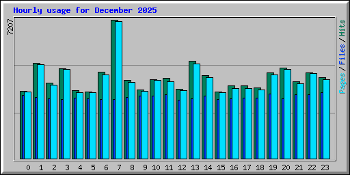 Hourly usage for December 2025