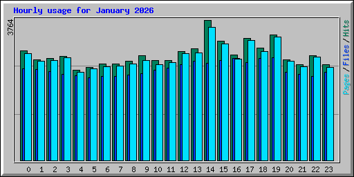 Hourly usage for January 2026