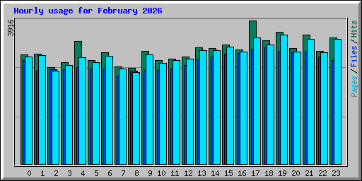 Hourly usage for February 2026