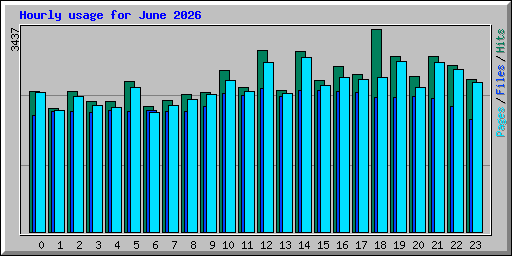 Hourly usage for June 2026