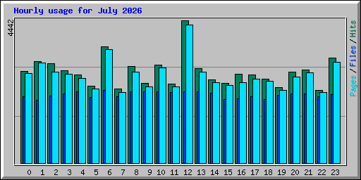 Hourly usage for July 2026
