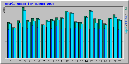 Hourly usage for August 2026